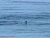 random10202013-12